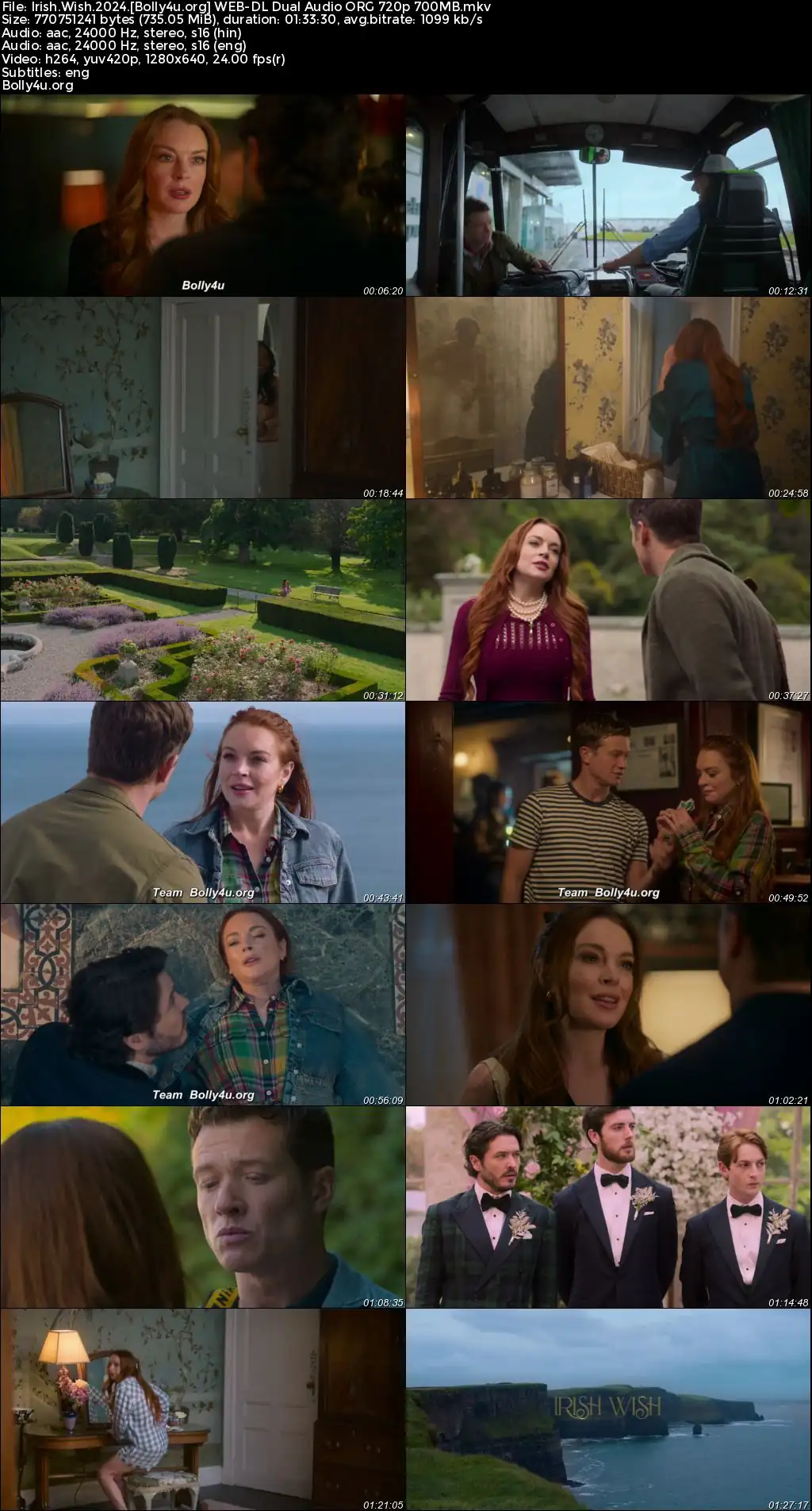 Irish Wish 2024 WEB-DL Hindi Dual Audio ORG Full Movie Download 1080p  720p  480p
