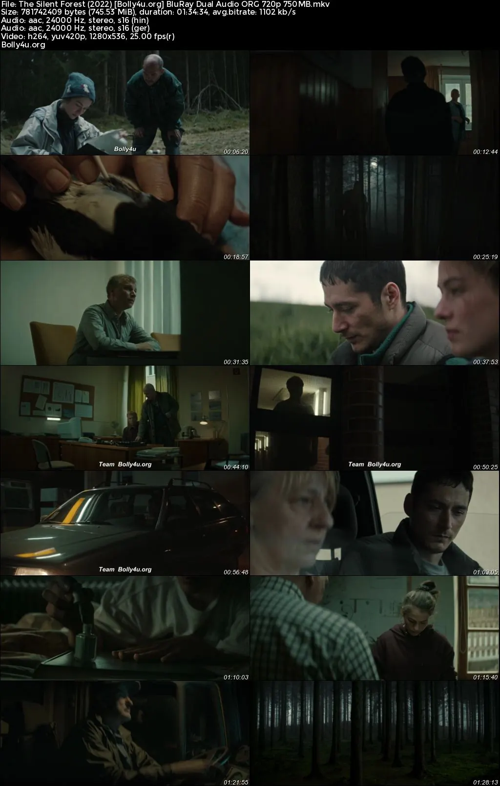 The Silent Forest 2022 BluRay Hindi Dual Audio ORG Full Movie Download 1080p  720p  480p