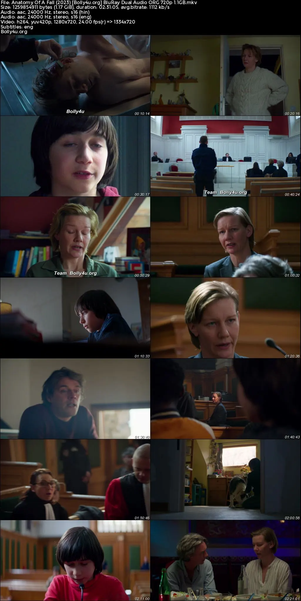 Anatomy Of A Fall 2023 BluRay Hindi Dual Audio ORG Full Movie Download 1080p  720p  480p