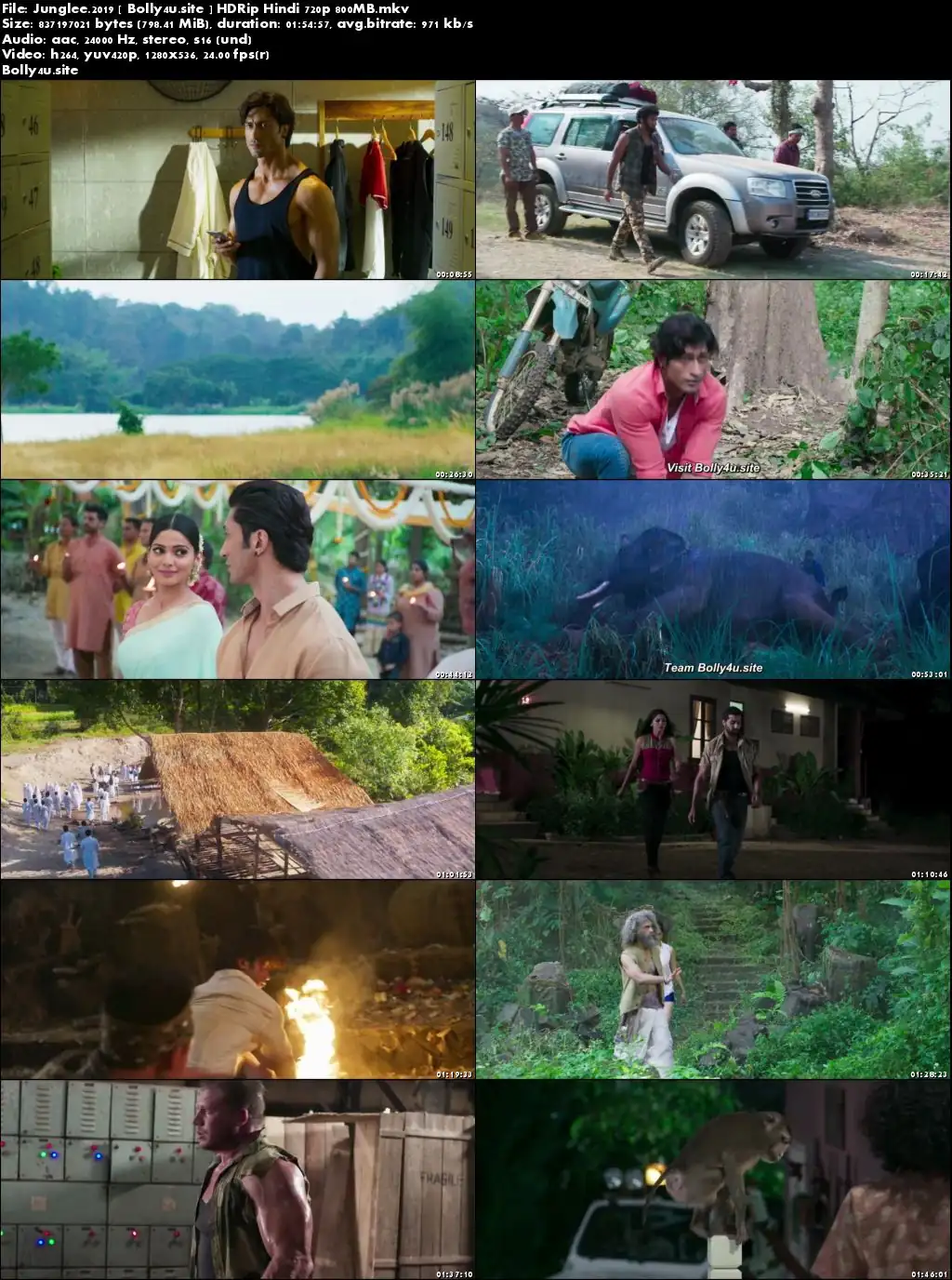 Junglee 2019 HDRip 800MB Hindi 720p x264 Download