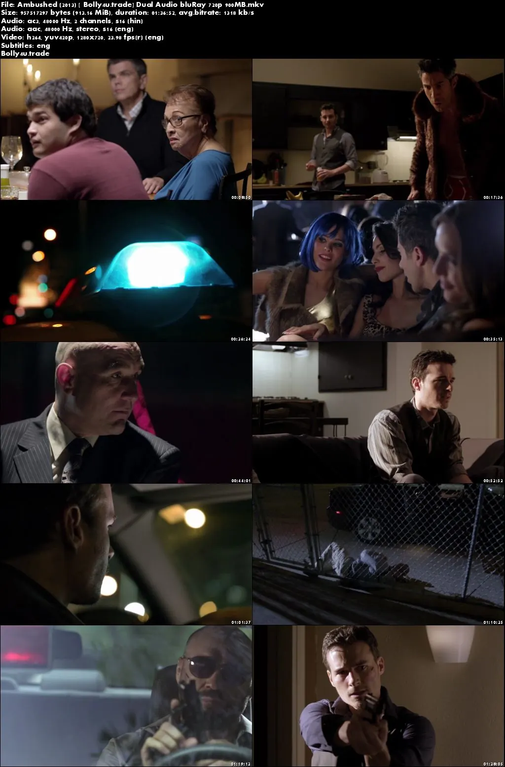 Ambushed 2013 BluRay 300MB Hindi Dubbed Dual Audio 480p Download