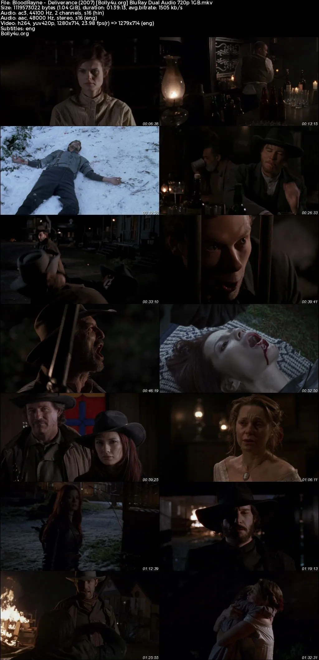 BloodRayne Deliverance 2007 BluRay Hindi Dual Audio Full Movie Download 720p  480p