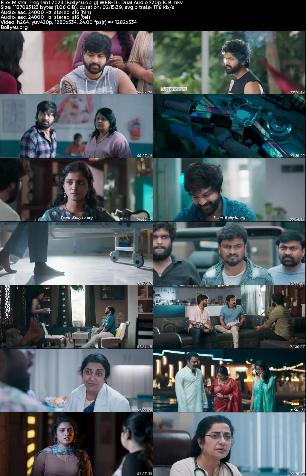Mister Pregnant 2023 WEB-DL Hindi Dual Audio ORG Full Movie Download 1080p  720p  480p