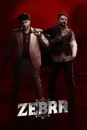 Zebra 2024 WEB-DL UNCUT Hindi Dual Audio ORG Full Movie Download 1080p | 720p | 480p poster | Bolly4u Official
