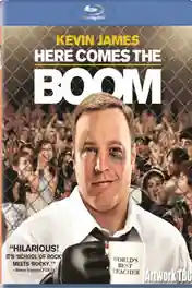 Here Comes the Boom 2012 BluRay 350Mb Hindi Dual Audio 480p poster | Bolly4u Official