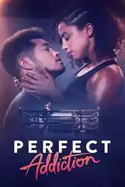 Perfect Addiction 2023 WEB-DL Hindi Dual Audio ORG Full Movie Download 1080p | 720p | 480p poster | Bolly4u Official