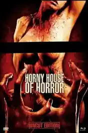 Horny House of Horror 2010 WEB-DL 550Mb Hindi Dual Audio 720p poster | Bolly4u Official