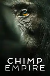 Chimp Empire 2023 WEB-DL Hindi Dual Audio ORG S01 Complete Download 720p poster | Bolly4u Official