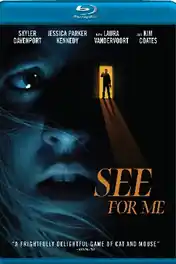 See for Me 2022 BluRay Hindi Dual Audio 720p 480p Download poster | Bolly4u Official