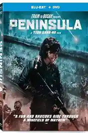 Train To Busan Peninsula 2020 BluRay 900Mb Hindi Dual Audio ORG 720p poster | Bolly4u Official