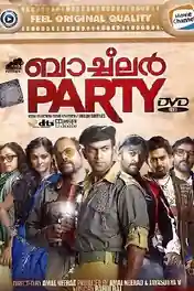Bachelor Party 2012 HDRip 1.1GB UNCUT Hindi Dual Audio 720p poster | Bolly4u Official