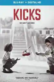 Kicks 2016 BluRay 300MB Hindi Dual Audio 480p poster | Bolly4u Official