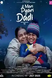 Meri Pyari Dadi 2025 WEB-DL Punjabi Full Movie Download 1080p | 720p | 480p poster | Bolly4u Official