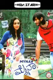 Mynaa 2013 DVDRip 450Mb UNCUT Hindi Dual Audio 480p poster | Bolly4u Official
