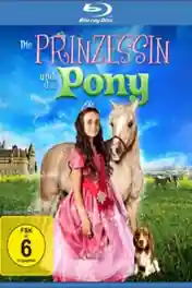 Princess And The Pony 2011 BluRay 1.1GB Hindi Dual Audio 720p poster | Bolly4u Official
