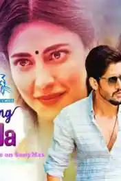 Dashing Diljale 2018 HDTV 300Mb Full Hindi Dubbed Movie Download 480p poster | Bolly4u Official