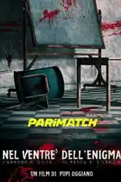 Nel ventre dell enigma 2021 WEB-Rip Telugu (Voice Over) Dual Audio 720p poster | Bolly4u Official