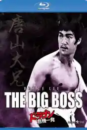 The Big Boss 1971 BluRay 300MB Hindi Dual Audio 480p poster | Bolly4u Official
