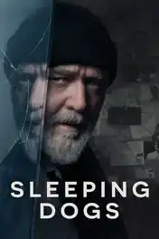 Sleeping Dogs 2024 WEB-DL Hindi Dual Audio ORG Full Movie Download 1080p | 720p | 480p poster | Bolly4u Official
