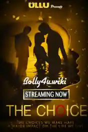 The Choice 2019 WEB-DL 450MB Complete Hindi WEB Series 720p Download poster | Bolly4u Official