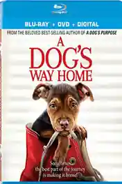 A Dogs Way Home 2019 BRRip 300Mb Hindi Dual Audio 480p poster | Bolly4u Official
