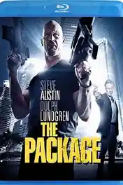 The Package 2013 BluRay 850Mb Hindi Dual Audio 720p poster | Bolly4u Official
