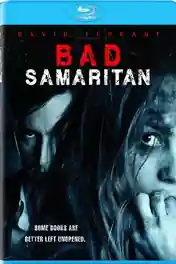 Bad Samaritan 2018 BluRay 900Mb Hindi Dual Audio 720p poster | Bolly4u Official