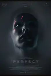 Perfect 2019 HDRip 280Mb English 480p poster | Bolly4u Official