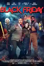 Black Friday 2021 WEB-DL 270MB English 480p ESub poster | Bolly4u Official