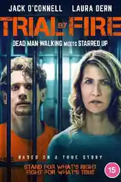 Trial By Fire 2018 WEB-DL 950Mb Hindi Dual Audio 720p poster | Bolly4u Official