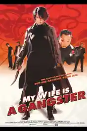 My Wife Is A Gangster 2001 BRRip 300Mb Hindi Dual Audio 480p poster | Bolly4u Official