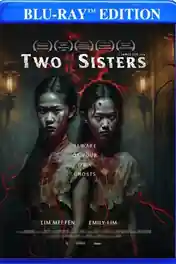 Two Sisters 2019 WEB-DL Hindi Dual Audio Full Movie Download 720p | 480p poster | Bolly4u Official
