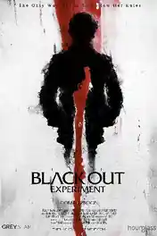 The Blackout Experiment 2021 WEB-DL Hindi Dual Audio Full Movie Download 720p | 480p poster | Bolly4u Official