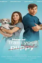 How to Train Your Husband 2017 WEB-DL 1GB Hindi Dual Audio 720p poster | Bolly4u Official