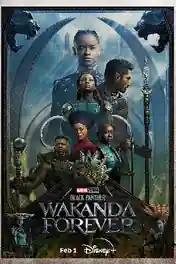 Black Panther Wakanda Forever 2022 BluRay Hindi Dual Audio ORG Full Movie Download 1080p | 720p | 480p poster | Bolly4u Official