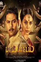 Pambattam 2023 HDTV Hindi Dubbed Full Movie Download 1080p | 720p | 480p poster | Bolly4u Official