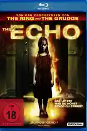 The Echo 2008 BluRay 600Mb Hindi Dual Audio 720p poster | Bolly4u Official