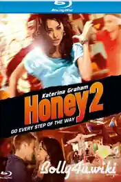Honey 2 2011 BRRip 850Mb Hindi Dual Audio 720p poster | Bolly4u Official