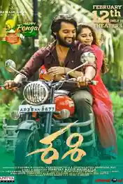 Sashi The Real Fighter 2021 WEB-DL 900Mb UNCUT Hindi Dual Audio 720p poster | Bolly4u Official