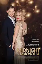 Midnight At The Magnolia 2020 WEB-DL 300Mb Hindi Dual Audio 480p poster | Bolly4u Official
