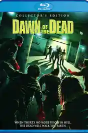 Dawn of The Dead 2004 BRRip 300Mb Hindi Dual Audio 480p poster | Bolly4u Official