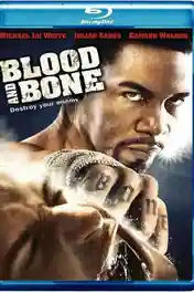 Blood and Bone 2009 BluRay 850Mb Hindi Dual Audio 720p poster | Bolly4u Official