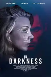 In Darkness 2018 WEB-DL 800MB English 720p poster | Bolly4u Official