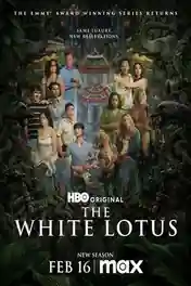 The White Lotus 2025 WEB-DL Hindi Dual Audio ORG S03 Complete Download 720p poster | Bolly4u Official