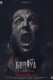 Gudiya 2023 WEB-DL Punjabi Full Movie Download 1080p | 720p | 480p poster | Bolly4u Official