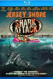 Jersey Shore Shark Attack 2012 BluRay 300MB Hindi Dual Audio 480p poster | Bolly4u Official
