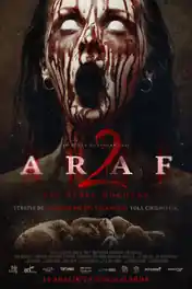 Araf 2 2019 WEB-DL 300MB Hindi Dual Audio 480p poster | Bolly4u Official
