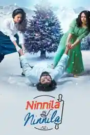 Ninnila Ninnila 2021 WEB-DL 400MB Hindi Dubbed 480p poster | Bolly4u Official