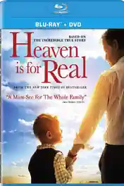 Heaven Is for Real 2014 HDRip 300MB Hindi Dubbed Dual Audio 480p poster | Bolly4u Official