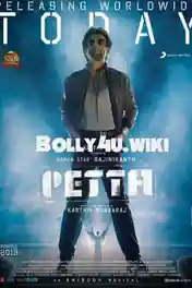 Petta 2019 Pre DVDRip 450Mb Full Hindi Movie Download 480p poster | Bolly4u Official